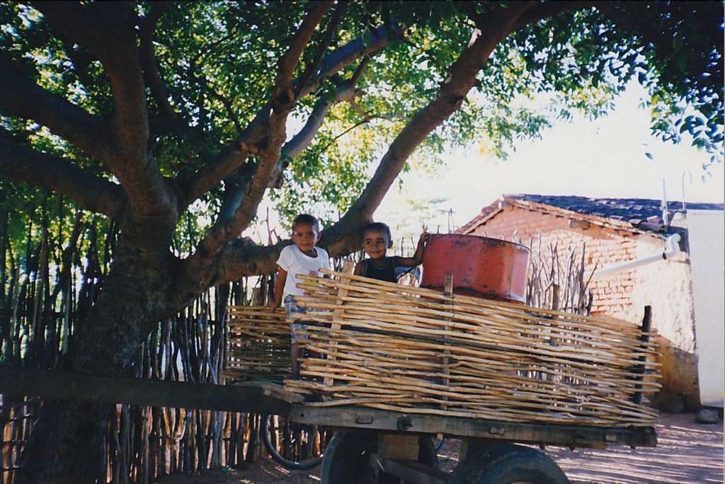 kids in sertao